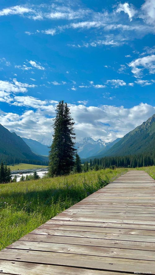 是什么樣的地理環(huán)境造就了新疆這片神奇的土地呢