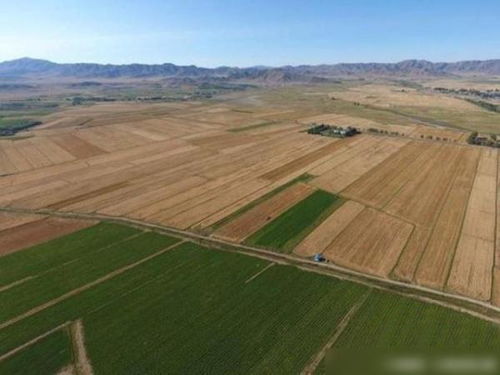 無(wú)人機(jī)鏡頭下的新疆環(huán)保 建設(shè)與發(fā)展中的生態(tài)保護(hù)